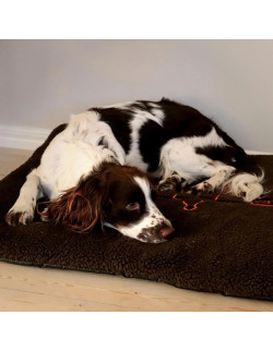 Swedteam Dog Mat 70x100cm | Holmgrens Jakt och Fritid 2