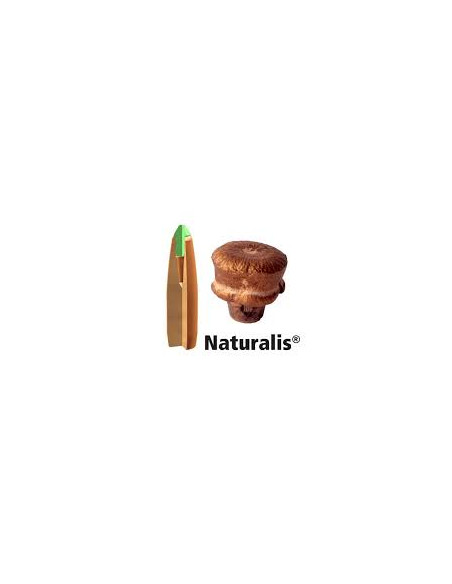 Lapua Kulammunition Naturalis Holmgrens Jakt och Fritid