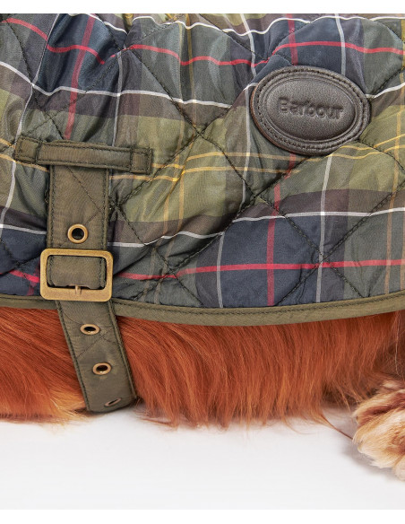 Barbour Dog Coat | Holmgrens Jakt & Fritid