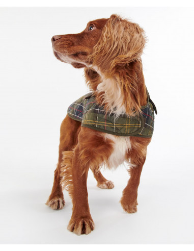 Barbour Tartan Dog Coat | Holmgrens Jakt o Fritid