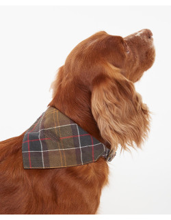 Barbour Tartan Dog Bandana - Holmgrens Jakt & Fritid 2