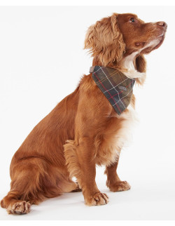 Barbour Tartan Dog Bandana - Holmgrens Jakt & Fritid