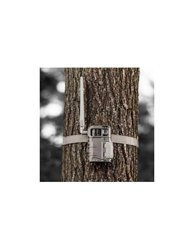 Spypoint LM2 Åtelkamera | Holmgrens Jakt o Fritid |