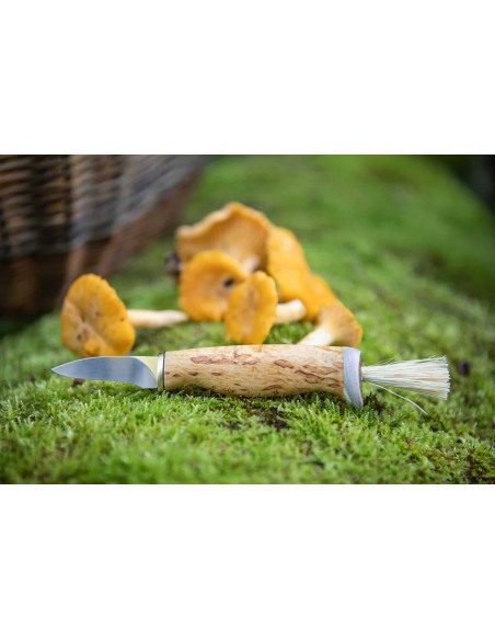 Arctic Legend Mushroom Knife