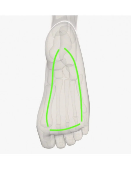 StiinaJ Orthopedic Insole 5-Bar