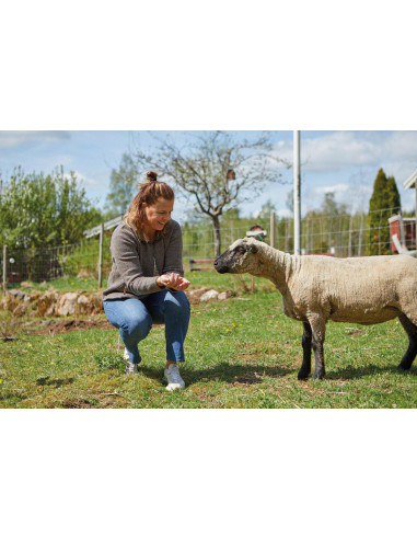 Ivanhoe NLS Twig FZ Nutmeg