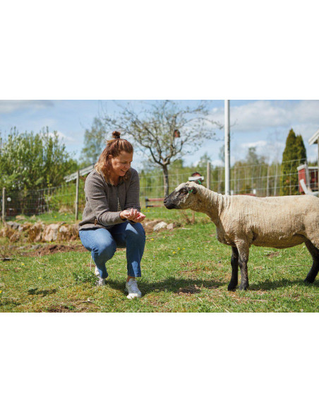 Ivanhoe NLS Twig FZ Nutmeg