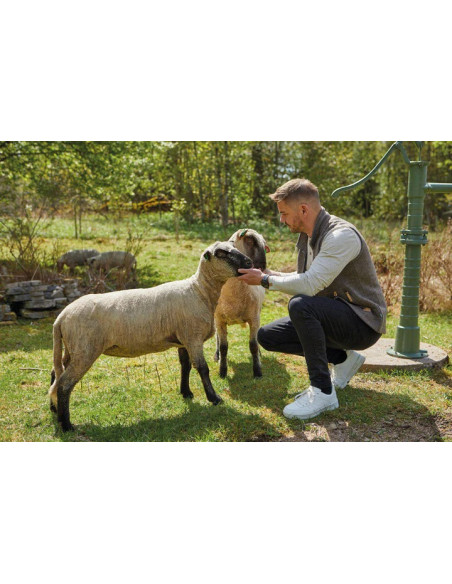 Ivanhoe NLS Sap FZ Nutmeg