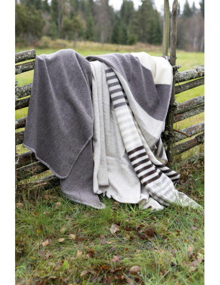 Ivanhoe NLS Ullpläd