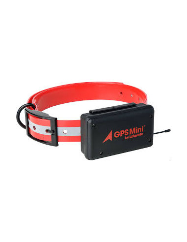 Lafayette GPS Mini Antenn | Holmgrens Jakt och Fritid |