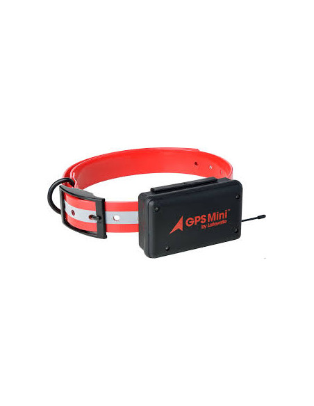 Lafayette GPS Mini Antenn | Holmgrens Jakt och Fritid |