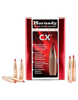 Hornady kulor 6mm .243 100gr Interlock BTSP | Holmgrens Jakt och Fritid |