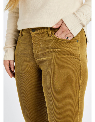 Dubarry Honeysuckle Harvest Gold