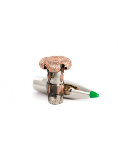 Norma Ecostrike 9,7g .30