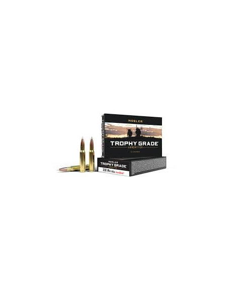 Nosler 308win 10,7g AcccuBond 165gr | Holmgrens Jakt och Fritid |