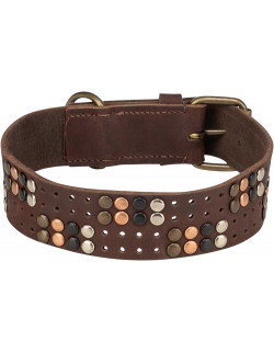 Rustic råläderhalsband m nitar 40 mm brett | Holmgrens Jakt och Fritid
