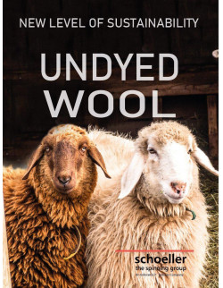 Ivanhoe NLS Sap FZ Chocolate 2