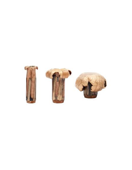 Nosler Expansion Tip | Holmgrens Jakt & Fritid |