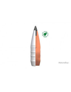 Blaser CDX 8,5x55 11,7g 180gr | Holmgrens Jakt och Fritid | 2