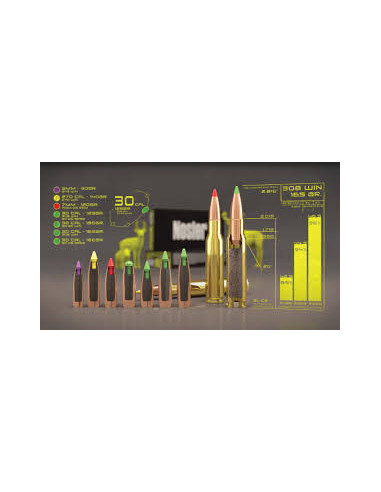 Nosler kula Ballistic Tip .30 165grs | Holmgrens Jakt o Fritid |